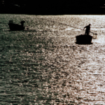 朝の宍道湖で、伝統的な漁具を操りしじみ漁を行う漁師たちの風景。島根の豊かな自然と、職人の手仕事が支える最高級しじみの産地。