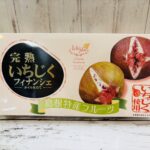 出雲市多岐町産の完熟いちじくを使用した「完熟いちじくフィナンシェ」10個入りのパッケージ。いちじく餡が練り込まれた、しっとり香り豊かな島根のご当地焼菓子。
